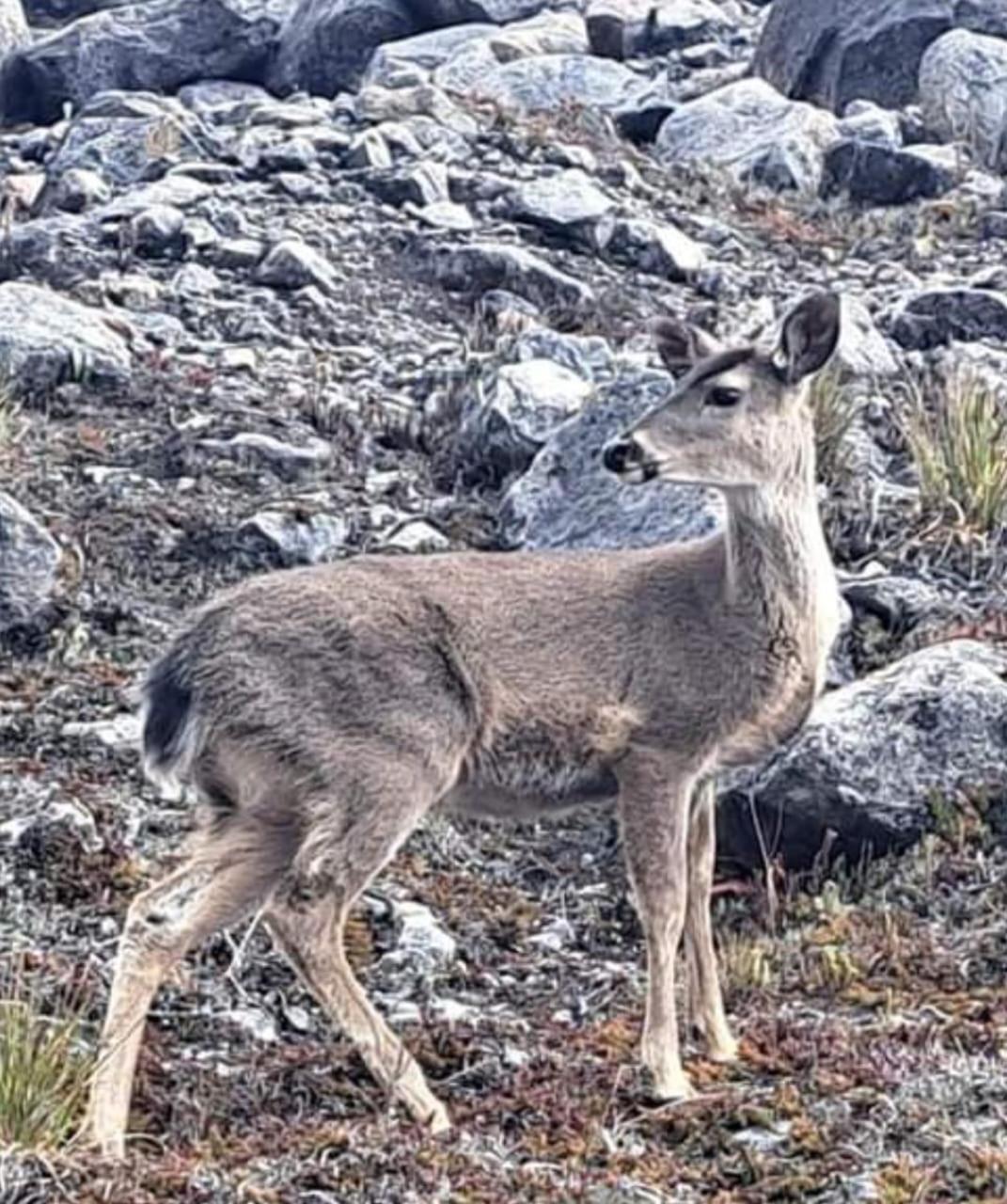 Gll Hotel El Cocuy Dış mekan fotoğraf